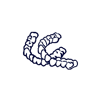 Pasciuti Orthodontics | Gnatologo a Tradate